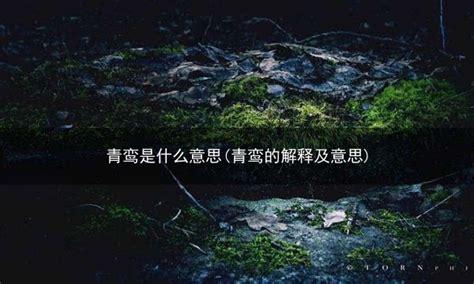 摆设意思|摆设的解释及意思